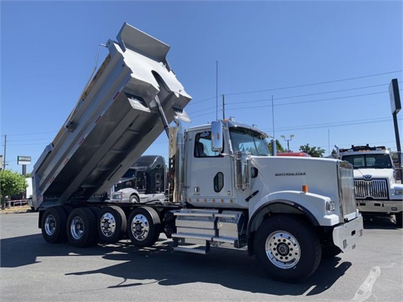 2020 WESTERN STAR 4900SF 5033311317